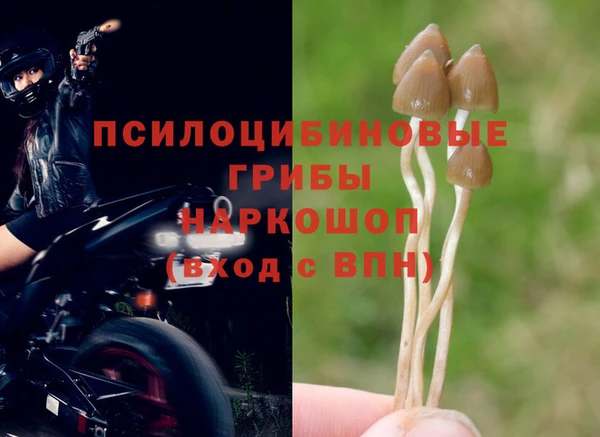 кокаин премиум Алзамай