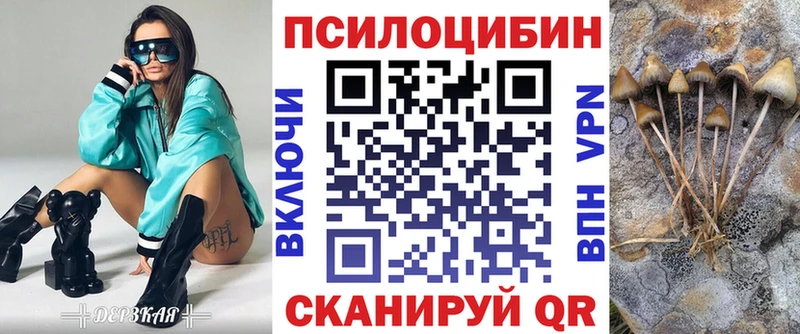 Галлюциногенные грибы мицелий Тихвин