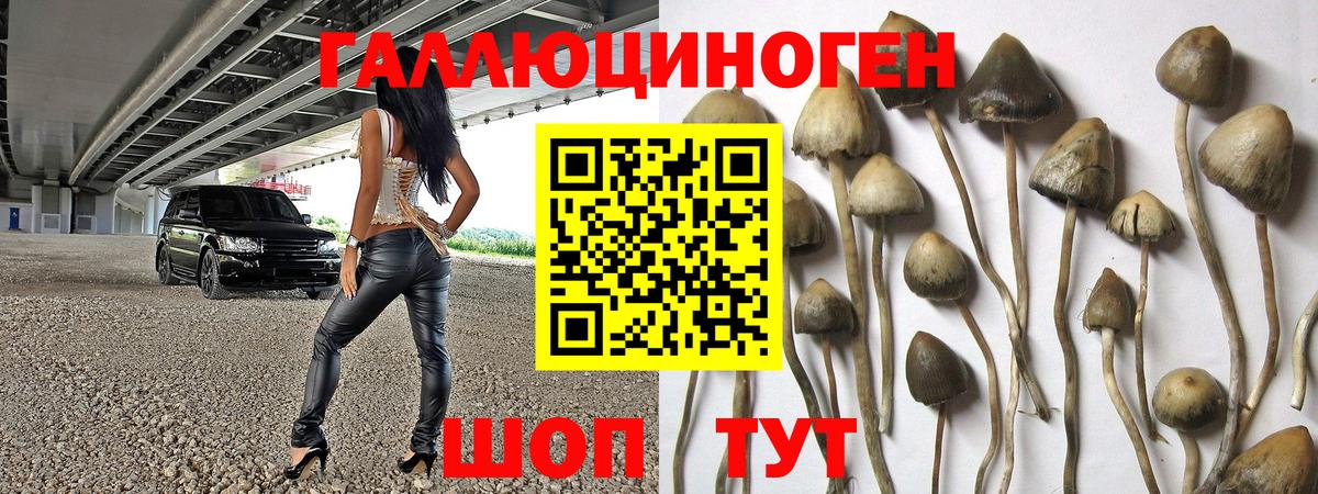Псилоцибиновые грибы мухоморы Тихвин